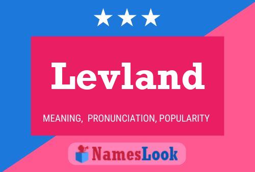 Levland Name Poster