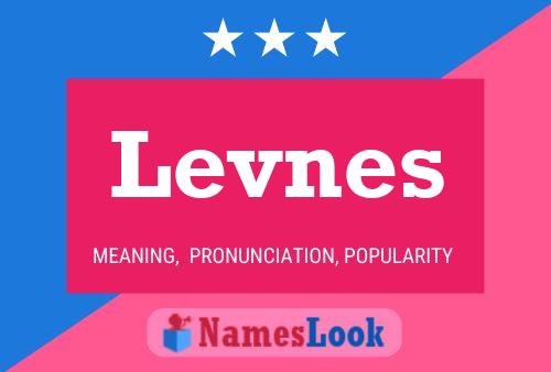 Levnes Name Poster