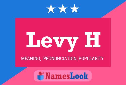 Levy H Name Poster