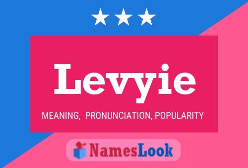 Levyie Name Poster