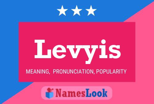 Levyis Name Poster