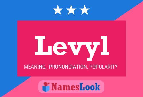 Levyl Name Poster