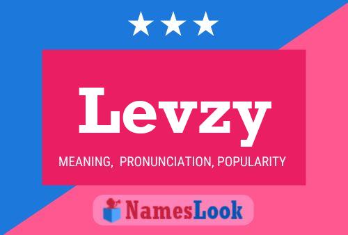 Levzy Name Poster