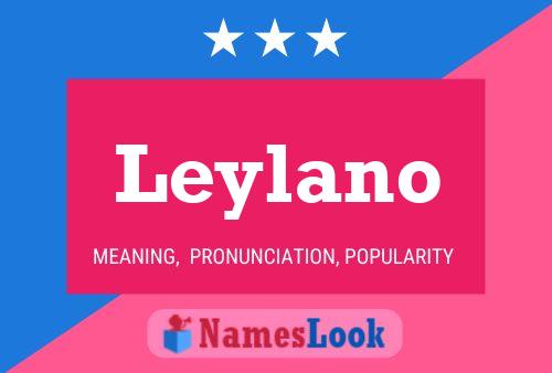 Leylano Name Poster