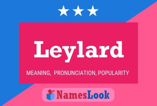 Leylard Name Poster