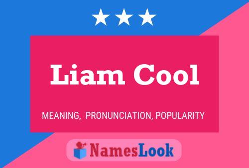 Liam Cool Name Poster