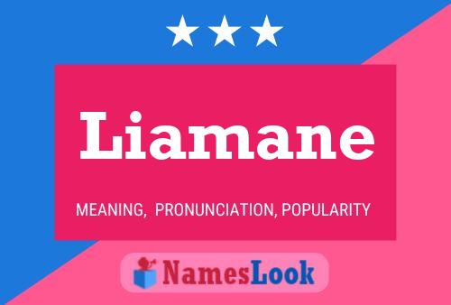 Liamane Name Poster