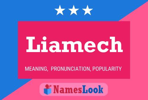 Liamech Name Poster