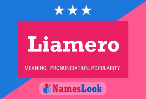 Liamero Name Poster