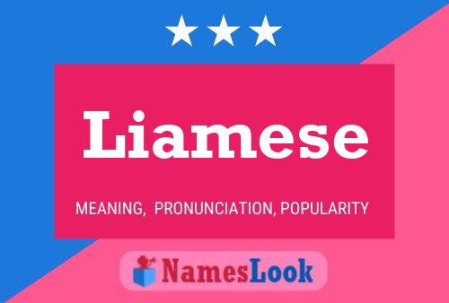 Liamese Name Poster