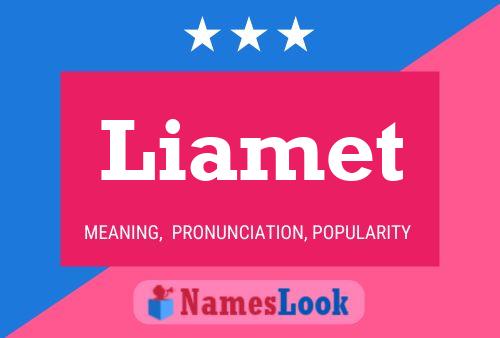 Liamet Name Poster