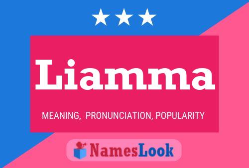 Liamma Name Poster