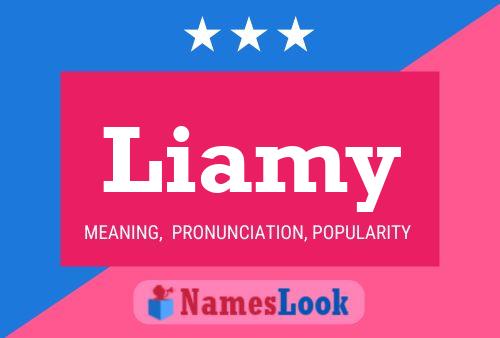 Liamy Name Poster