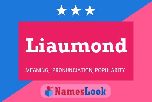 Liaumond Name Poster