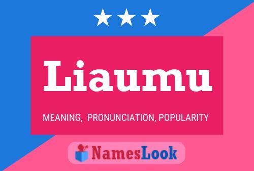 Liaumu Name Poster