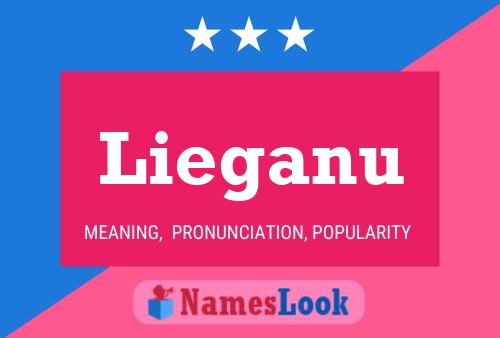 Lieganu Name Poster