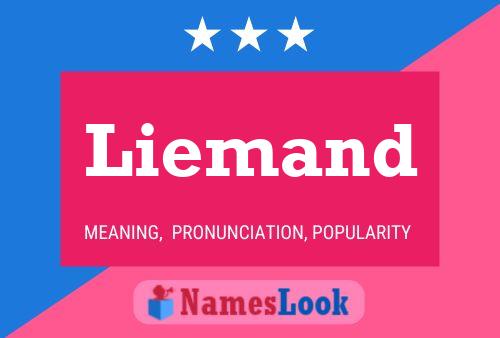 Liemand Name Poster