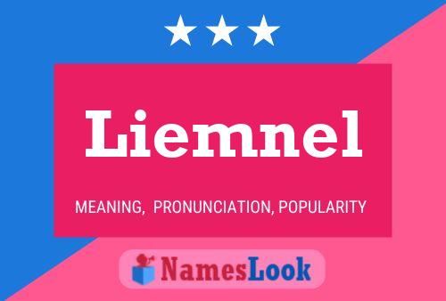 Liemnel Name Poster