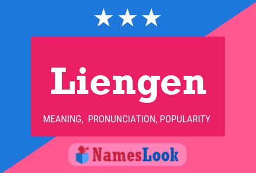 Liengen Name Poster