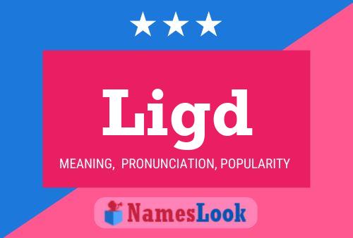 Ligd Name Poster