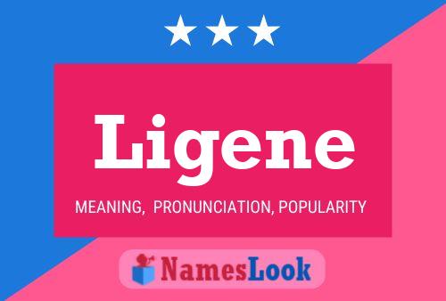 Ligene Name Poster