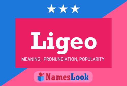 Ligeo Name Poster