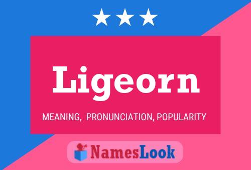 Ligeorn Name Poster