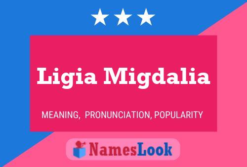 Ligia Migdalia Name Poster