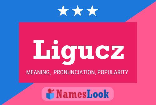 Ligucz Name Poster