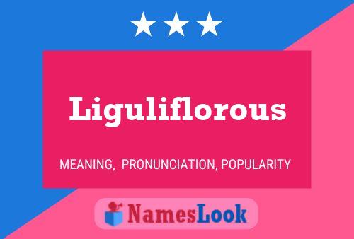 Liguliflorous Name Poster