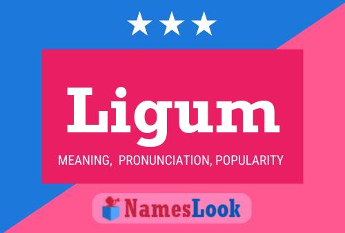 Ligum Name Poster