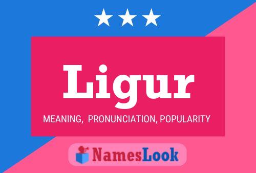 Ligur Name Poster