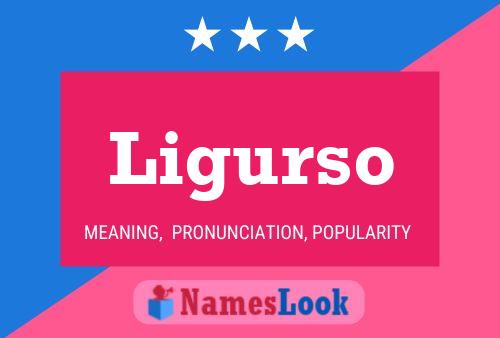 Ligurso Name Poster