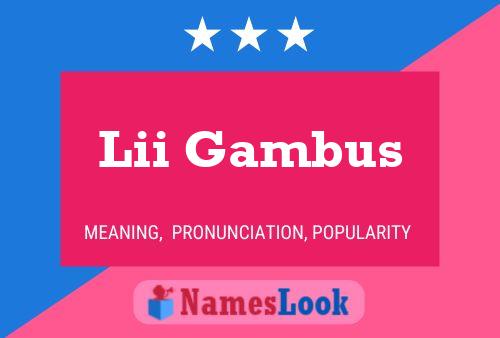 Lii Gambus Name Poster