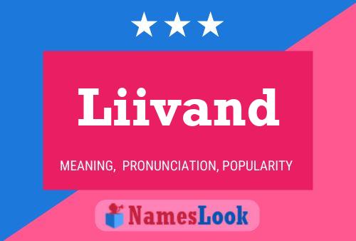 Liivand Name Poster