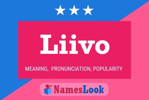 Liivo Name Poster