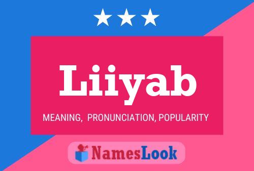 Liiyab Name Poster