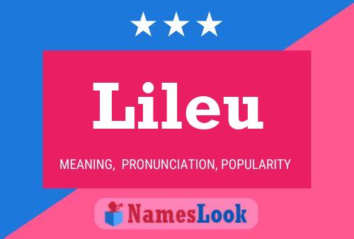 Lileu Name Poster