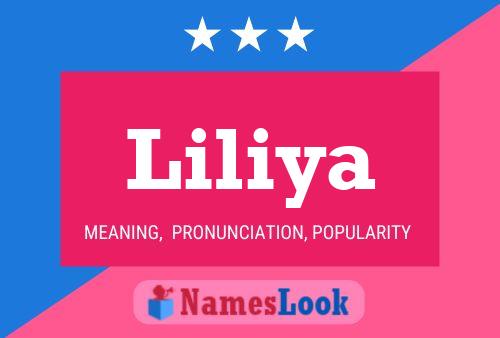 Liliya Name Poster