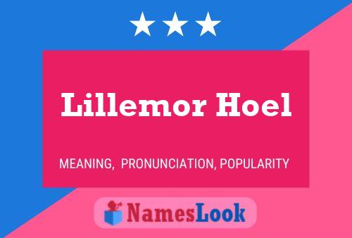 Lillemor Hoel Name Poster