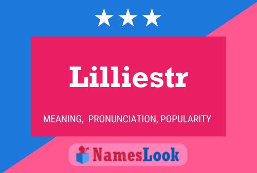 Lilliestr Name Poster