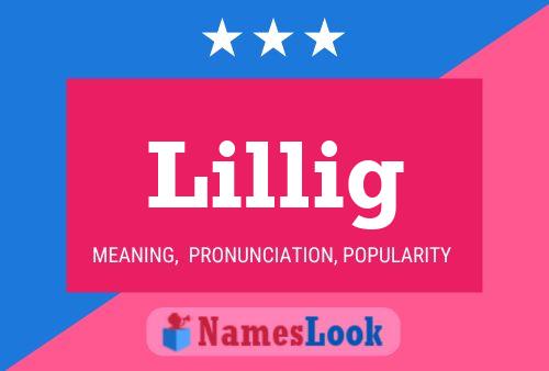 Lillig Name Poster