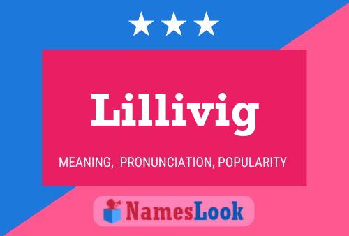 Lillivig Name Poster