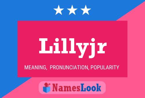 Lillyjr Name Poster