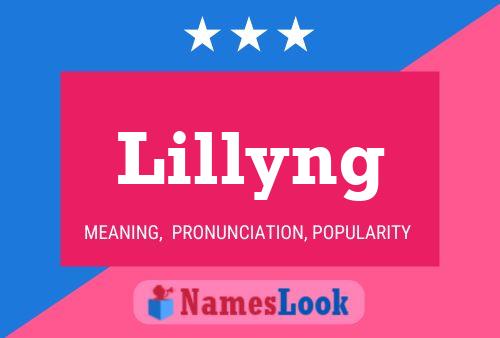 Lillyng Name Poster