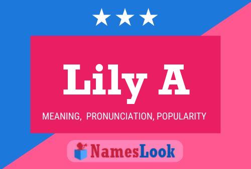 Lily A Name Poster