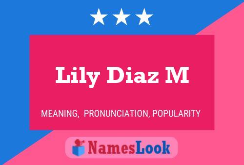 Lily Diaz M Name Poster