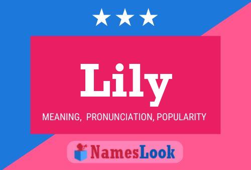 Lily Name Poster