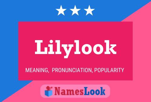 Lilylook Name Poster