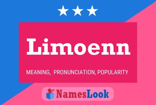 Limoenn Name Poster